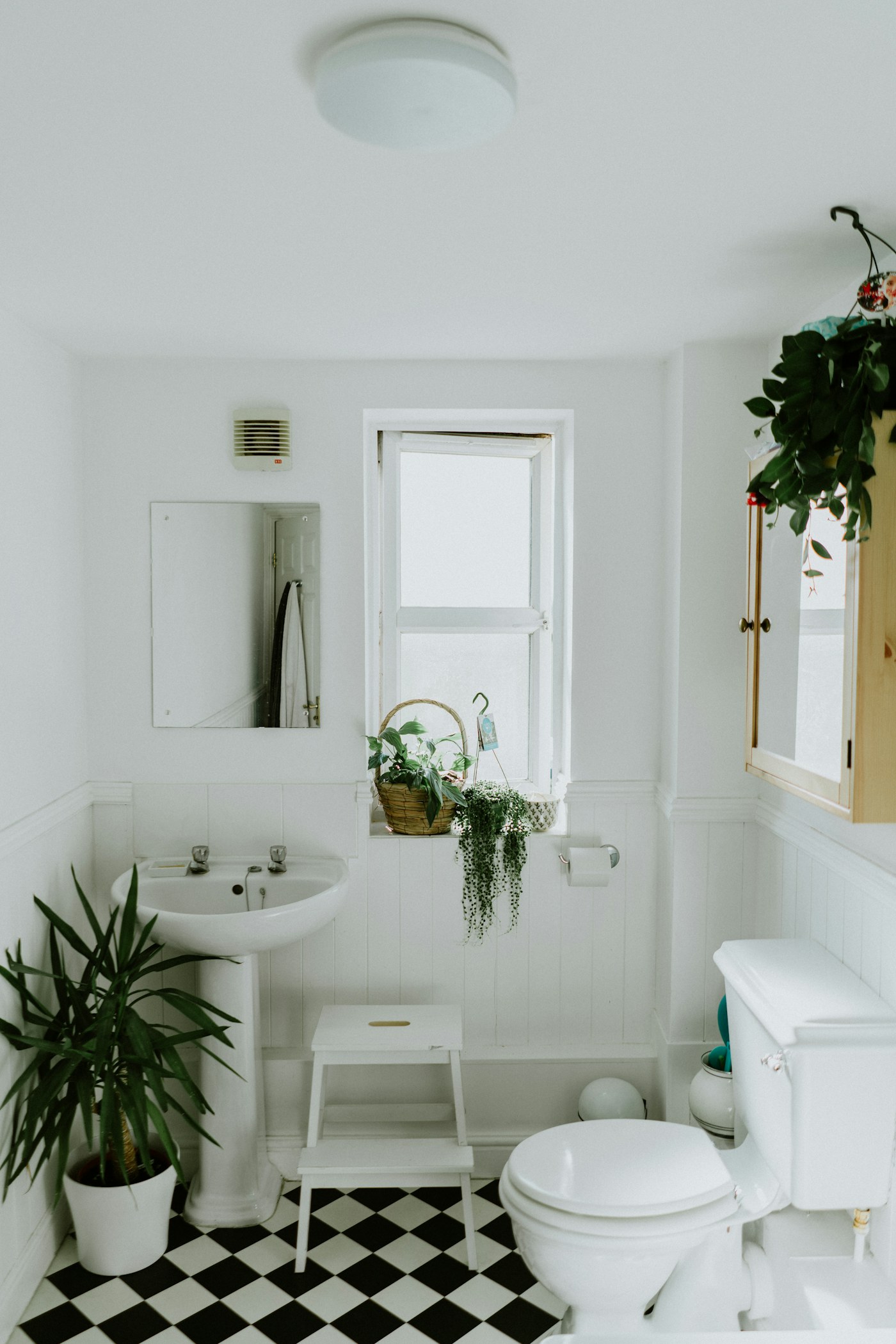 Olive Grove Bath concept